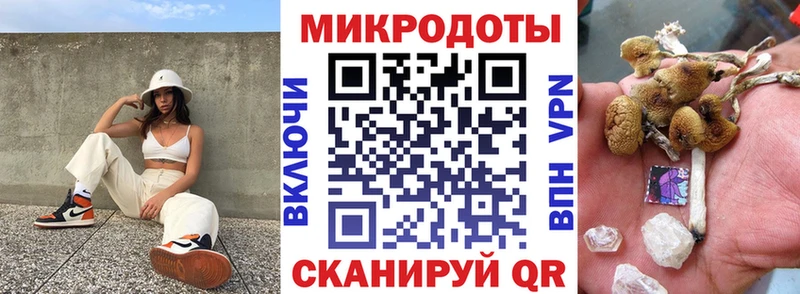 магазин Новый Уренгой Псилоцибиновые грибы Psilocybe